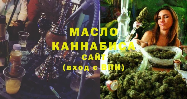 хмурый Аркадак