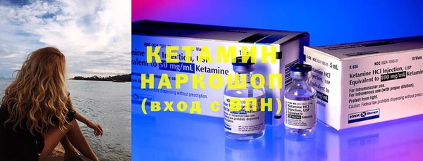 хмурый Аркадак