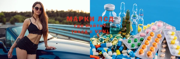 молекула духа Арсеньев