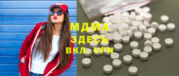 хмурый Аркадак