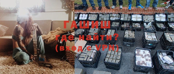 молекула духа Арсеньев