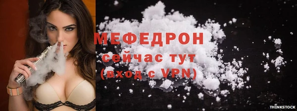 молекула духа Арсеньев