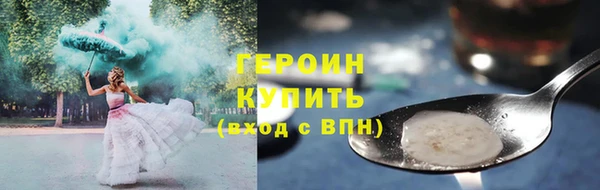 хмурый Аркадак