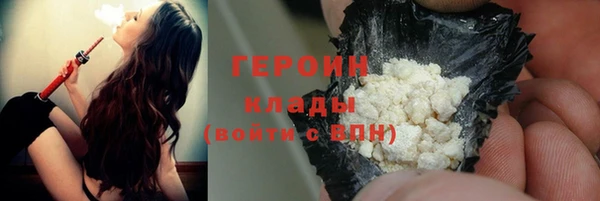 хмурый Аркадак