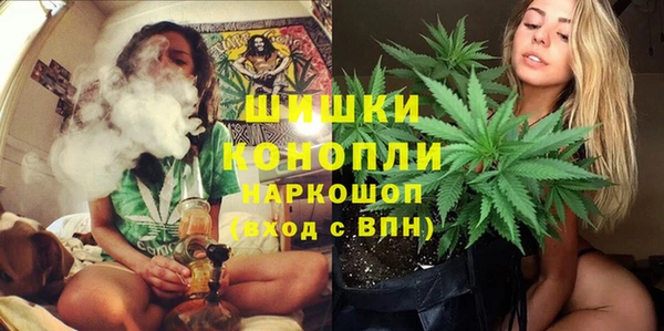молекула духа Арсеньев