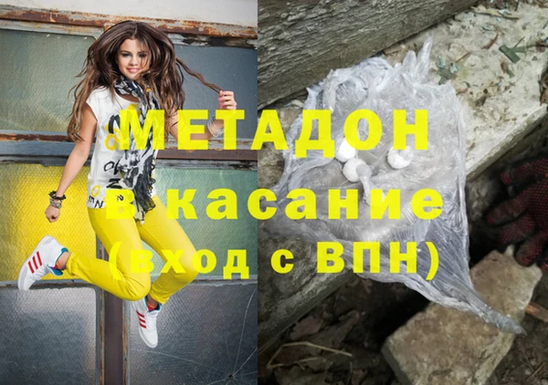 хмурый Аркадак