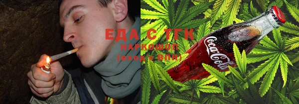 хмурый Аркадак
