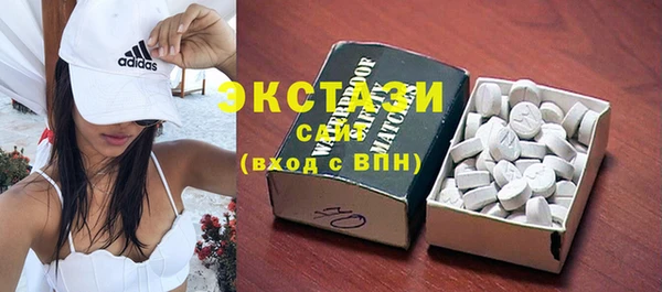 хмурый Аркадак