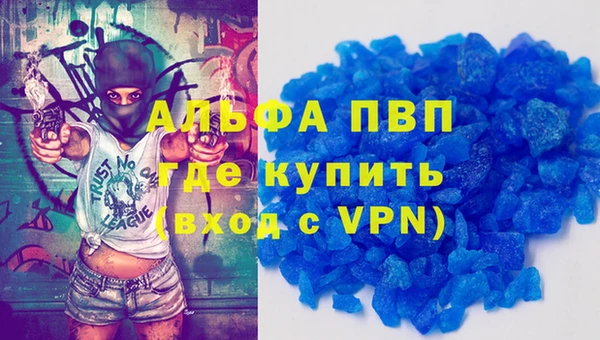 хмурый Аркадак