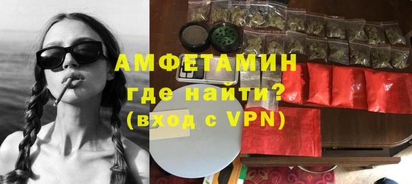 молекула духа Арсеньев