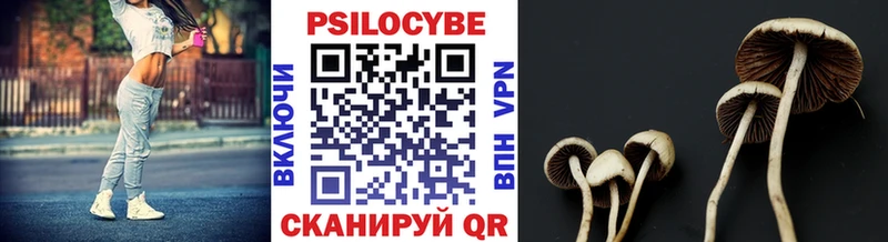 магазин    Урай  Галлюциногенные грибы Psilocybe 